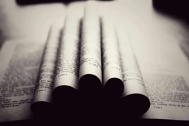 Rolls of theses